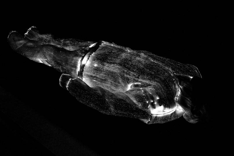 Lampyris Nocticula (2014)